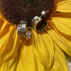 Swatch Luludia steel earrings